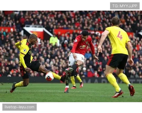 托纳利防守价值飙升，成球队后防线稳健基石