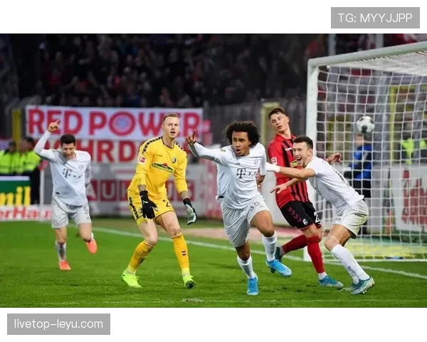 赫罗纳夏窗引援成效显著，球队整体竞争力大幅提升