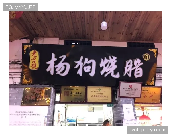 杨千霖家的狗都比你我活得精致